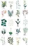 herbarium white desktop standard format l.180 x h 280 cm