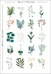 herbarium white mobile format standard l.180 x h 280 cm