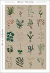 mobile kraft herbarium standard size l.180 x h 280 cm