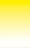 sunset lemon standard size w.180 x h 280 cm desktop bf-sun-cit-3l