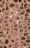 crystals terracotta format standard l 180 x h 280 cm desktop   bf-boh-lea-3l
